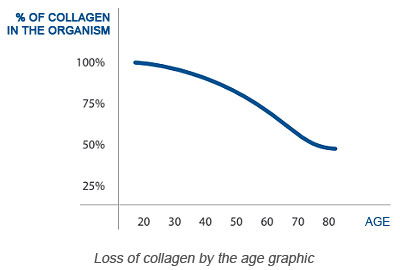 - Collagen production with the age